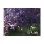 Purple Lilac Wedding Save the Date Postcard