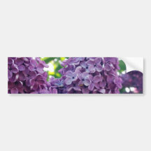 Purple Lilacs Bumper Sticker