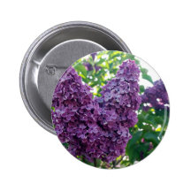 Purple Lilacs Round Button