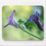 Purple Lilies Mouse Pad
