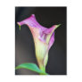 Purple lily and meaning postcards