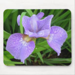 Purple lily/iris mousepad