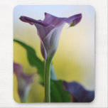 Purple Lily Mouse Pads