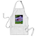 Purple lily of the Valley and meaning Apron