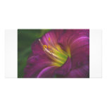 Purple Lily photo cards