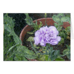 Purple Lisiantha Flower Cards