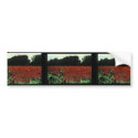 Purple Loosestrife bumper stickers