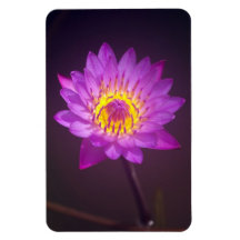 Purple Lotus Flower Rectangle Magnets