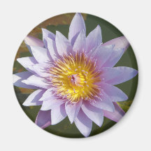 Purple Lotus/Water Lily Fridge Magnet