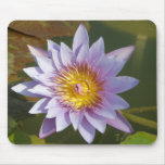 Purple Lotus/Water Lily Mousemat