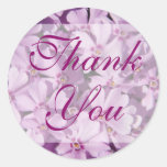 Purple Moss Phlox • Thank You Sticker