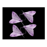 Purple Moth Art Postcard
