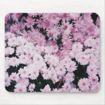 Purple mums mouse pads