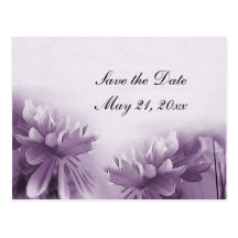 Purple Mums Postcard - Save the Date
