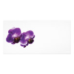 Purple Orchid Duo Custom Photo Card