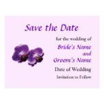 Purple Orchid Duo Save the Date Post Cards