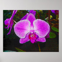 Purple Orchid Fantasy Print