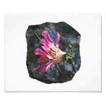 Purple orchid flower tree n sky rock background photo