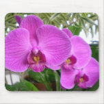 Purple Orchid Mousepad