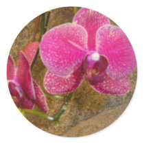 Purple Orchid Sticker