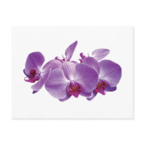 Purple Orchid Trio Postcard
