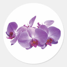 Purple Orchid Trio Stickers