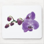 Purple Orchid With Buds Mouse Pads