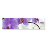Purple Orchids on a Vine bumper stickers