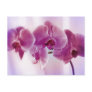 Purple Orchids Postcard