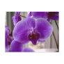 Purple Orchids Post Cards