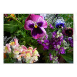 Purple pansy and friends cards