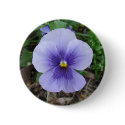 Purple Pansy buttons