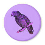 Purple Parrot magnets