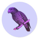 Purple Parrot stickers