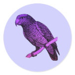 Purple Parrot stickers
