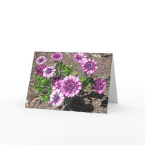 Purple Passion Birthday Card
