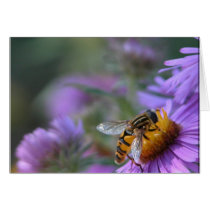 Purple Passion Greeting Cards