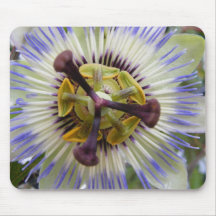 Purple Passion Flower Mousepad