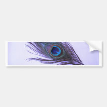 Purple Peacock Feather Bumper Stickers