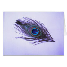 Purple Peacock Feather Greeting Cards