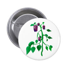 Purple peppers on green plant graphic button