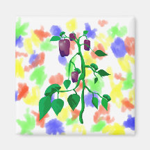 Purple peppers on green plant graphic magnets