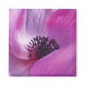 Purple Petals Magnet
