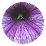 Purple Petunia Sticker