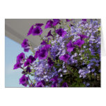 Purple Petunias 5x7 Card