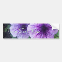 Purple Petunias Bumper Sticker