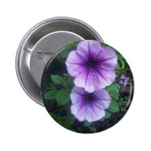Purple Petunias Button