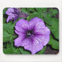PURPLE PETUNIAS mousepad