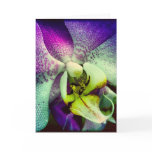 Purple Phalenopsis Orchid Blank Greeting Card