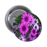 Purple & Pink Daisy Gifts